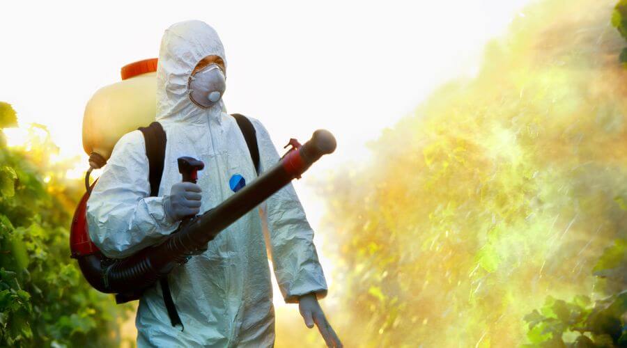 Professional pest control services services in Belmont